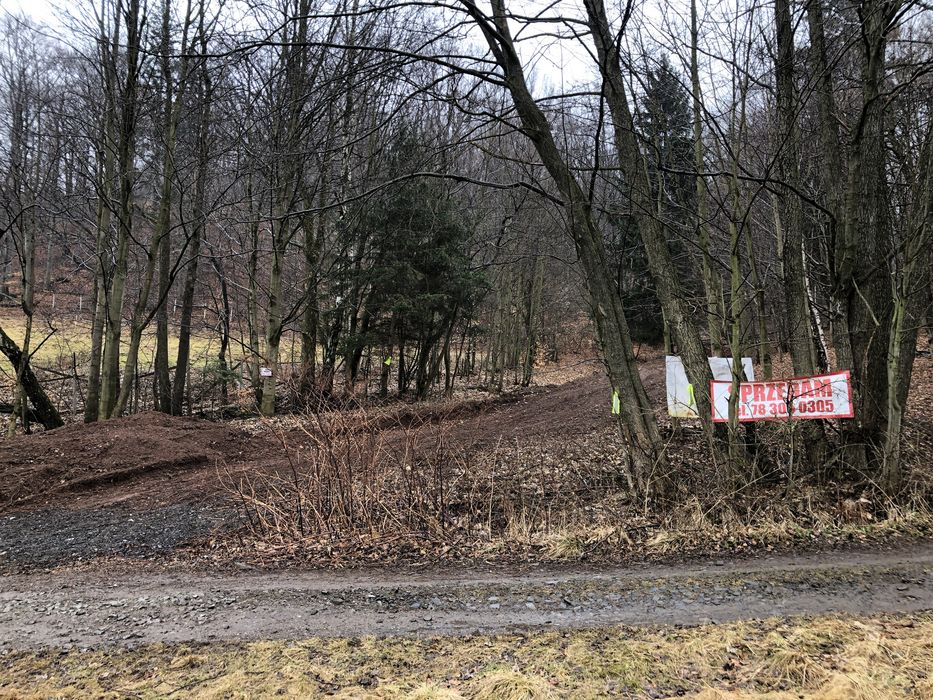 Działka budowlana Kamionki gmina Pieszyce, piękna i spokojna okolica, natura 2000 - Widok 2