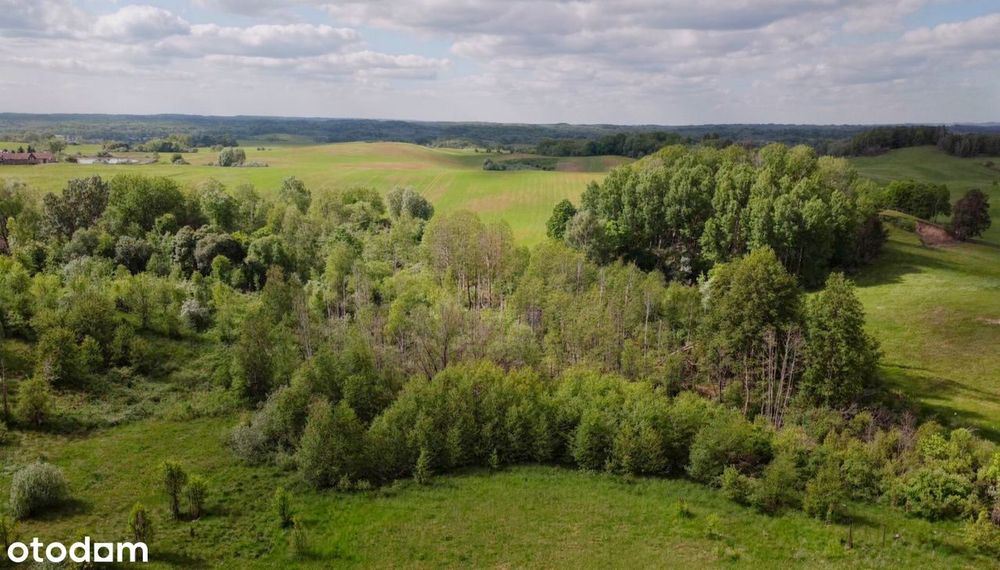 ORZECHÓWKO — działka 1,84 ha z możliwością podziału (gm. Świętajno)