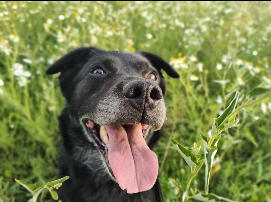 Magia świąt potrzebna