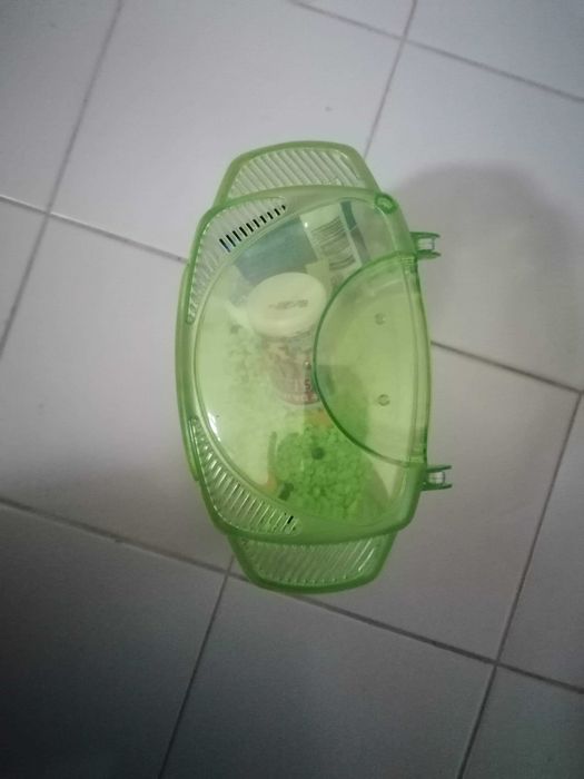 Aquário para peixes Betta