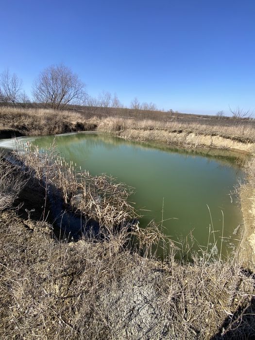 Будинок у селі разом зі ставком