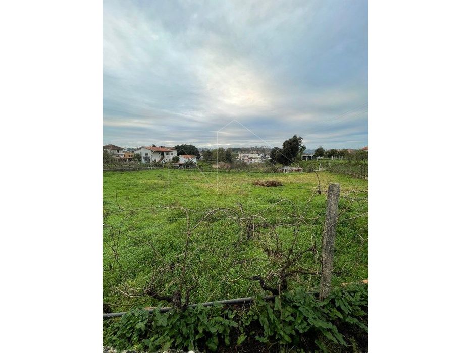 Terreno urbano na Borralha — Águeda E Borralha, Aveiro