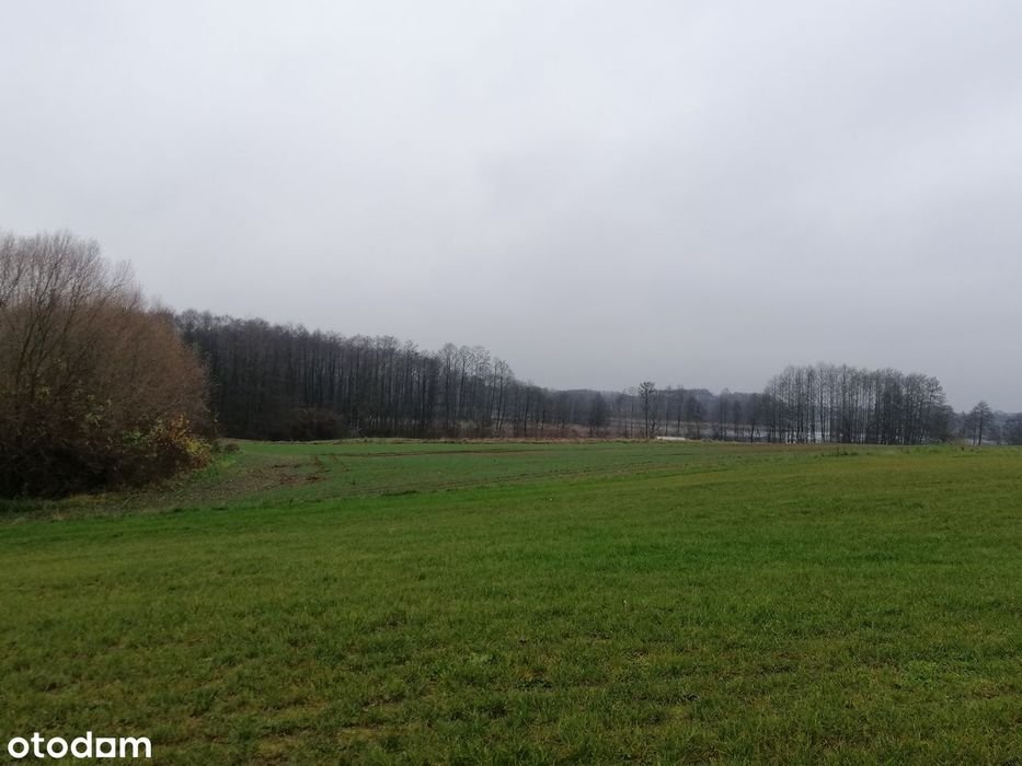 Działka budowlana  nad jeziorem - View 6