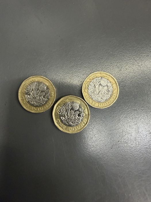 ONE POUND Elizabeth II 2016