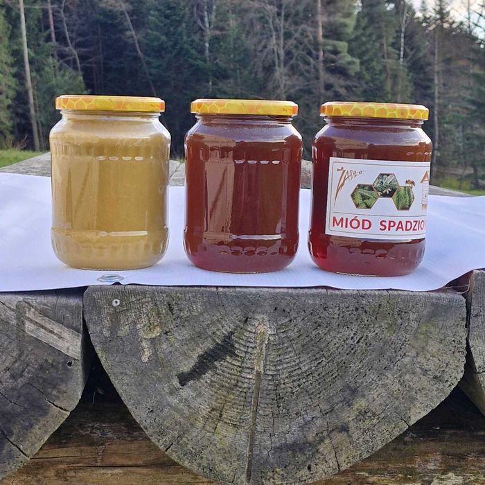 Miód spadziowy z własnej pasieki