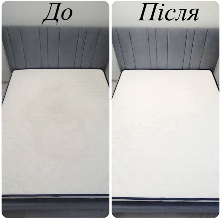 Професійна хімчистка меблів та килимів