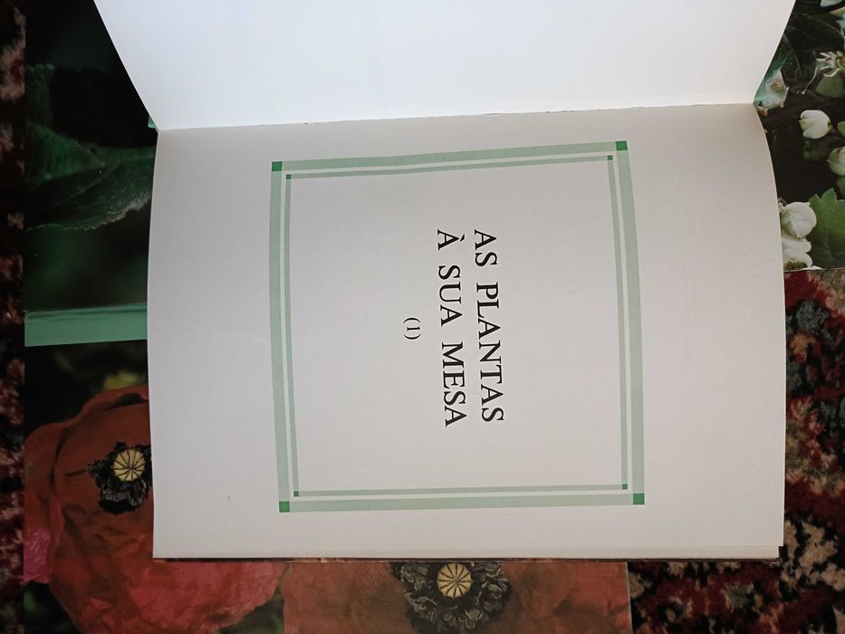 4 Livros As Plantas Nossas Amigas