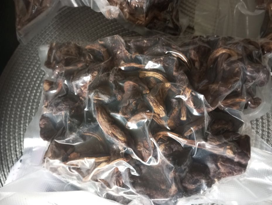 Grzyby Prawdziwki , Krawce maślaki pakowane hermetycznie