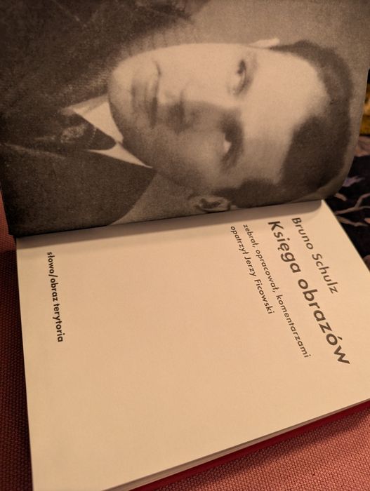 Bruno Schulz Księga obrazów książka