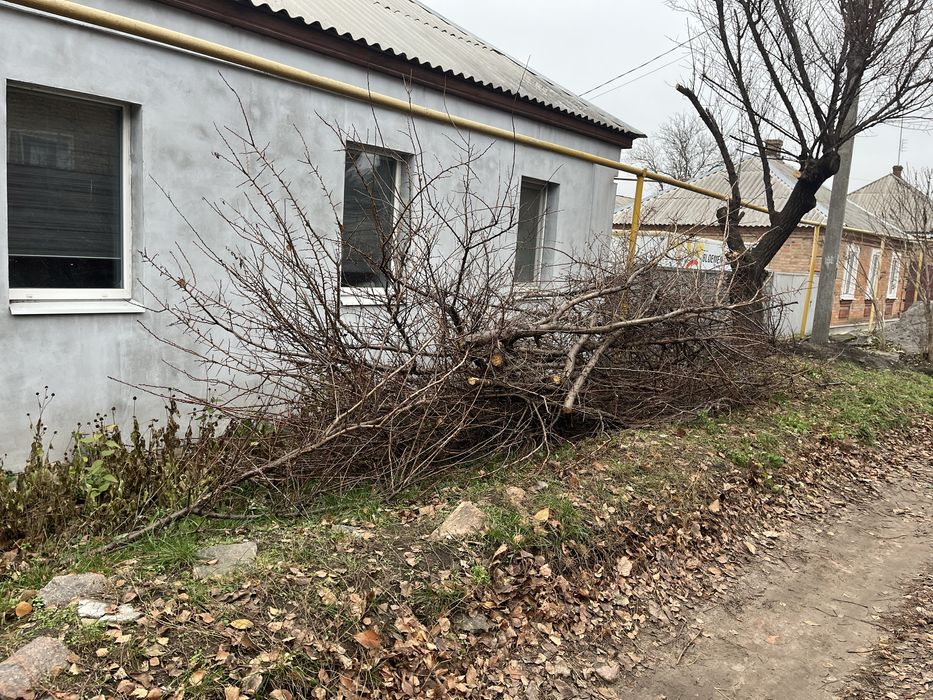 Віддам бескоштоано