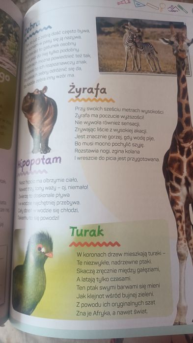 Encyklopedia dla dzieci, książka każdego bystrzaka