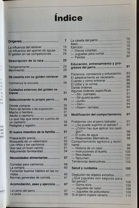 Cão Golden Retriever - Educação/ comportamento - Espanhol