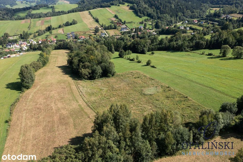 Panorama | Zacisze | Zainwestuj w Bieszczadach | – pohled 6