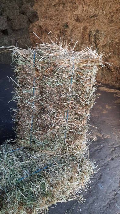 Сено пырей с разнотравьем 130грн тюк