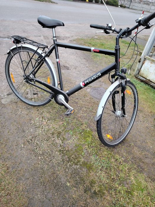 Rower męski. PEGASUS