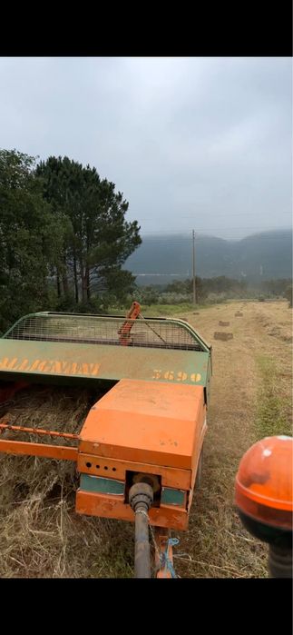 Vendo fardos de palha de feno nascidisso e de azevem campanha 2025