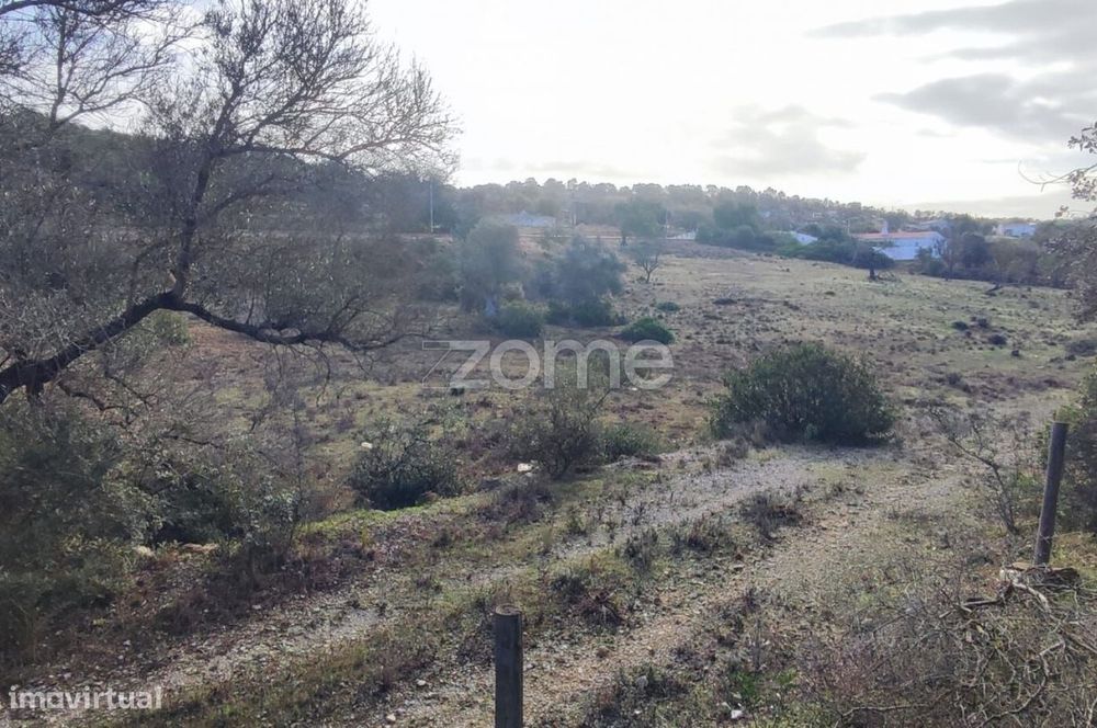 Terreno Rústico – Tunes, Silves | 1.480 m²
