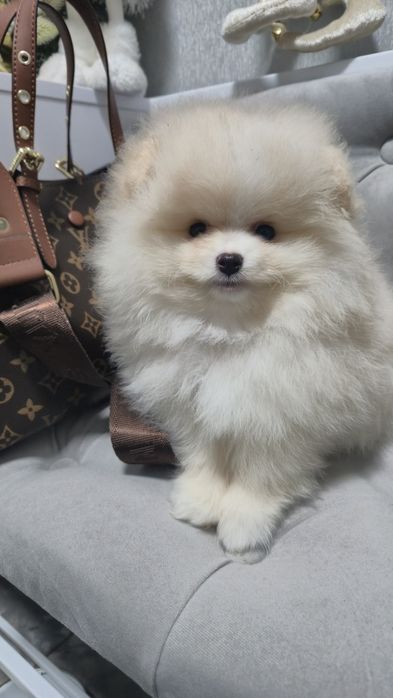 Гарненький хлопчік