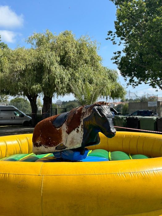 Insufláveis para festas