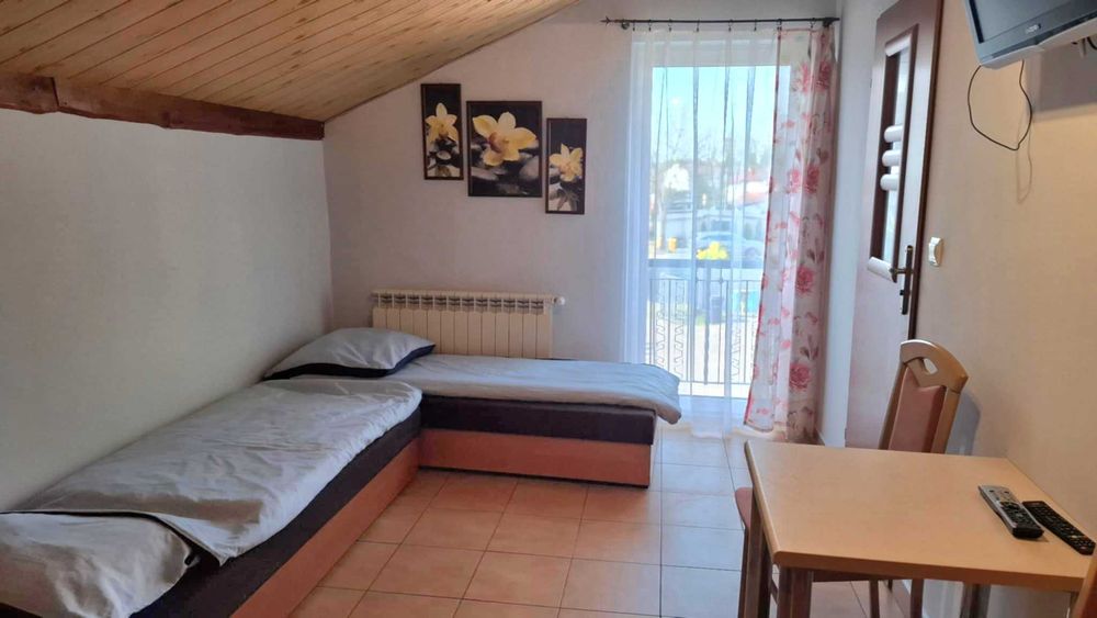 Święta dla aktywnych Nordic walking ćwiczenia Zdrowy kręgosłup.