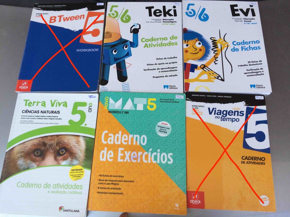 Livros de atividades 5.º ano