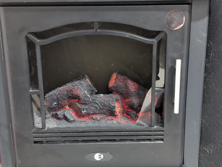 Salamandra elétrica