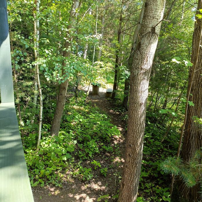 Noclegi w Bieszczadach,domek w Bieszczadach