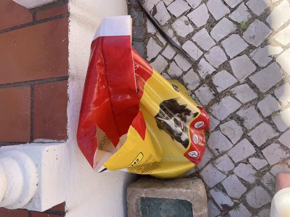 Casota e todo material para caes