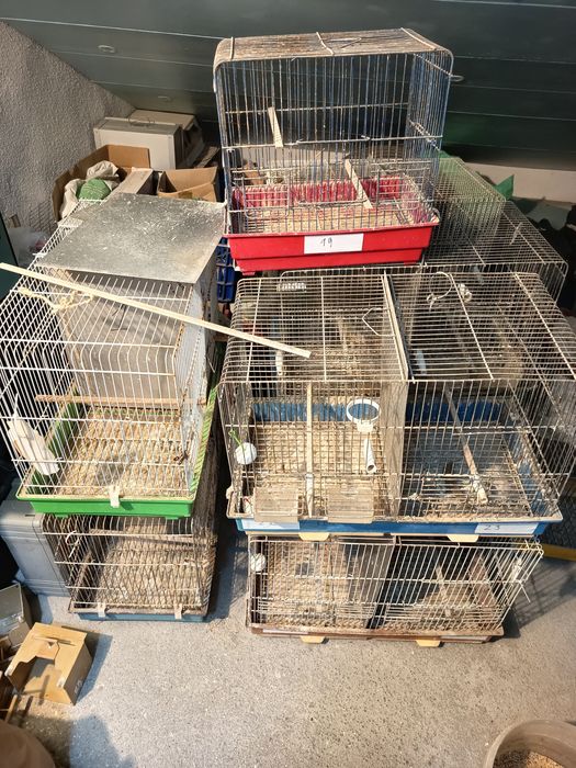 Gaiolas para aves e ninhos gr2