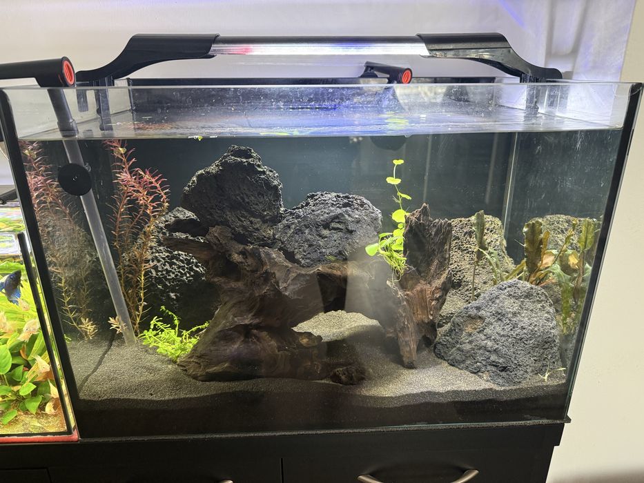 Akwarium 84l 60x40x35