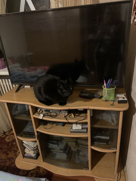 Тумба, подставка под телевизор