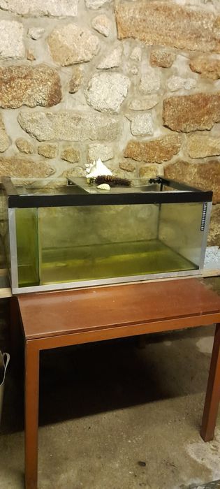 Aquario para peixes