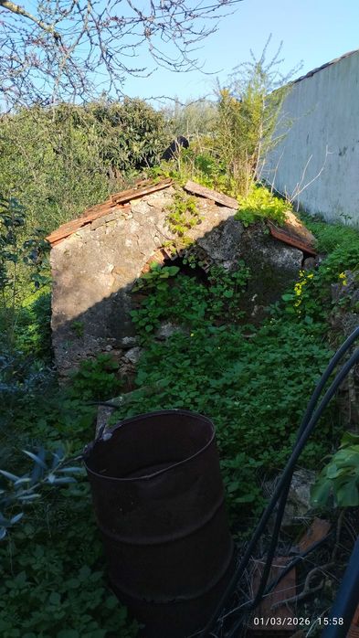 Terreno com casa para recuperar a poucos minutos da cidade de Silves