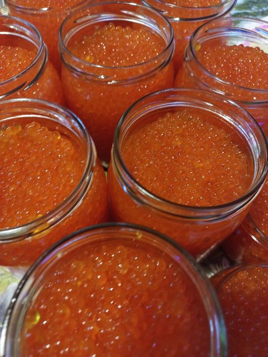 Свіженька червона ікра. Слабосолена. Без заморозки та рідини.