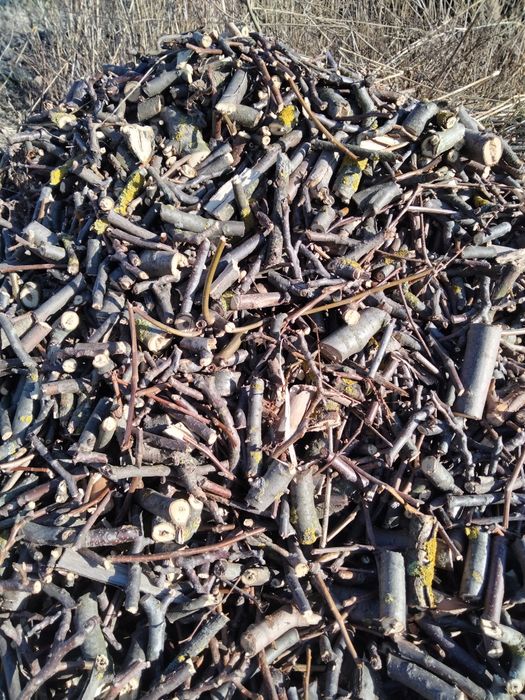 Бесплатно отдам дробленные ветки