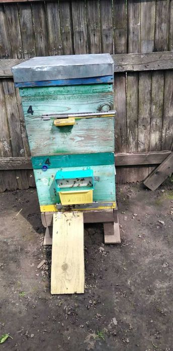 Продам пчёл (пасика)