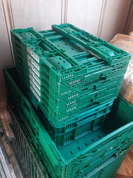 Skrzynki plastikowe do transportu żywności
