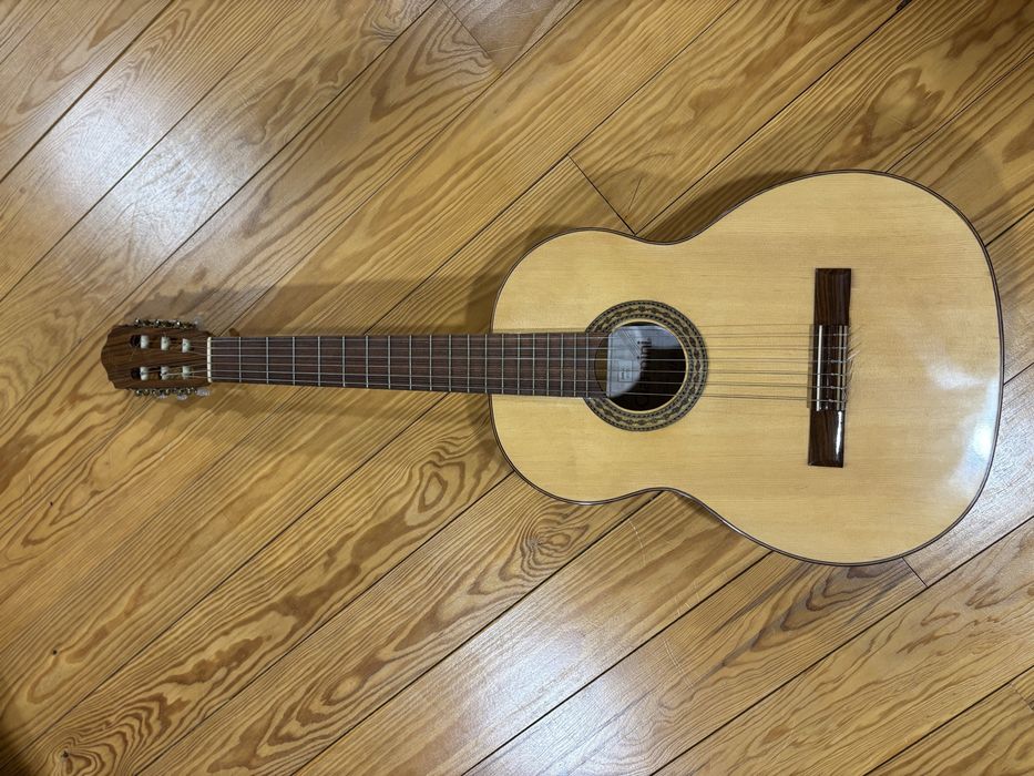 Viola classica Giannini