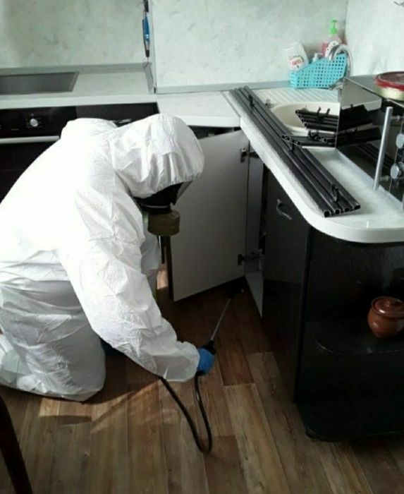 Потравить, травля, уничтожение тараканов. Гарантия. Знищення