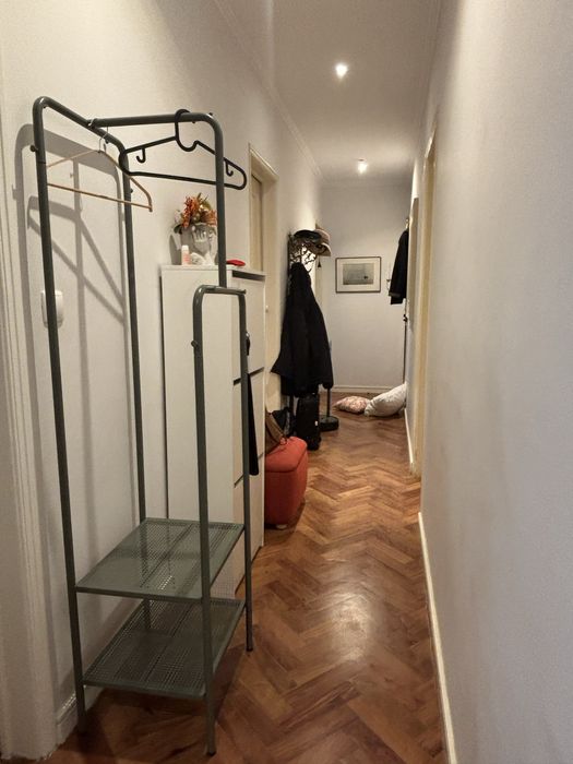 Bengaleiro como novo