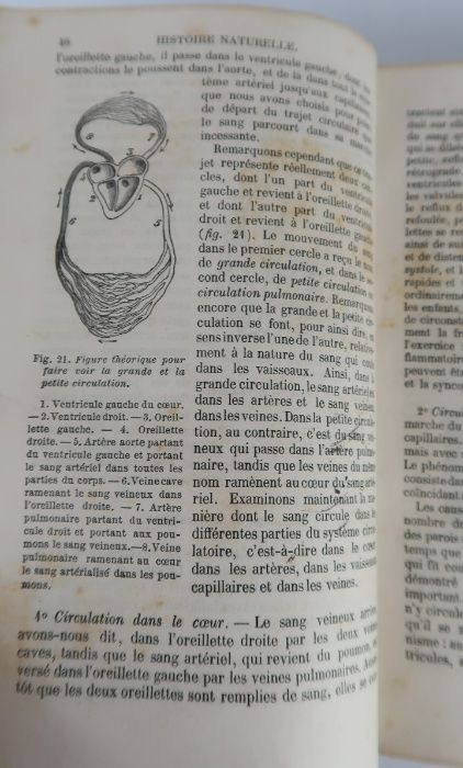 Histoire naturelle by LANGLEBERT (J) - 1880