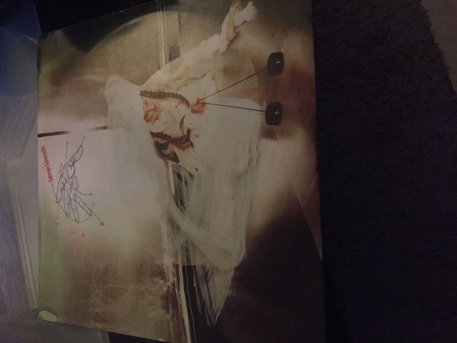 Vin lene lovich flex