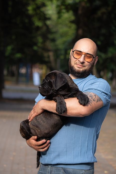 Хлопчик кане корсо_Tuger