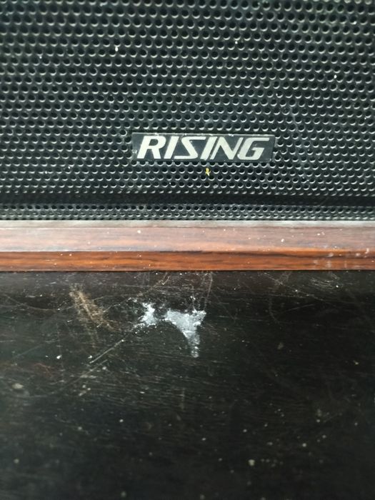 Vendo culonas japonêsas rasing