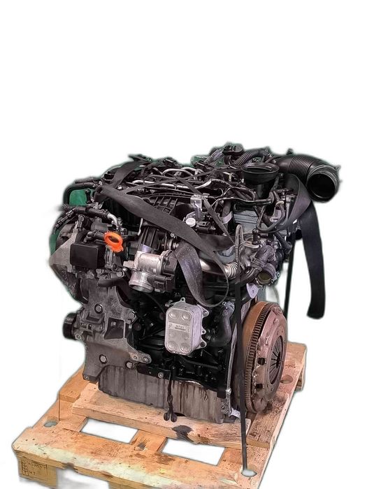 Motor Completo VW CADDY III Veículo multiuso 1.6 TDI (75 kW / 102 cv) [08.2010 - 05.2015] CAY (OEM)