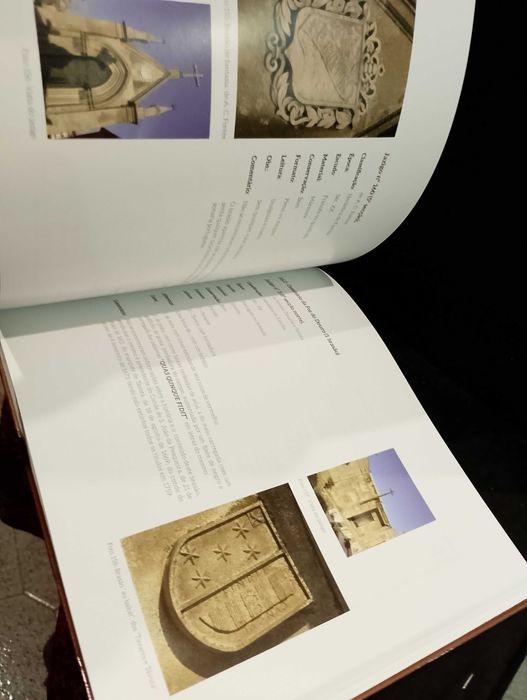 Brasões e Pedras de Armas da Cidade do Porto - Manuel Cunha