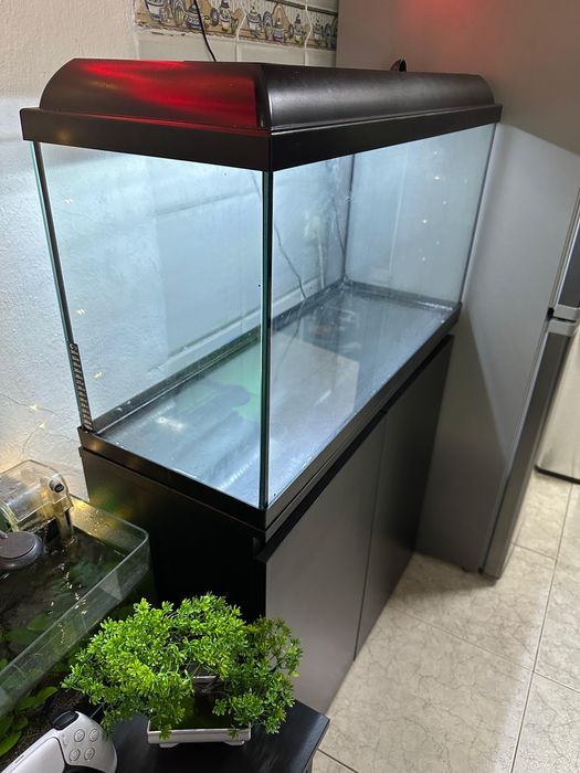Aquario completo