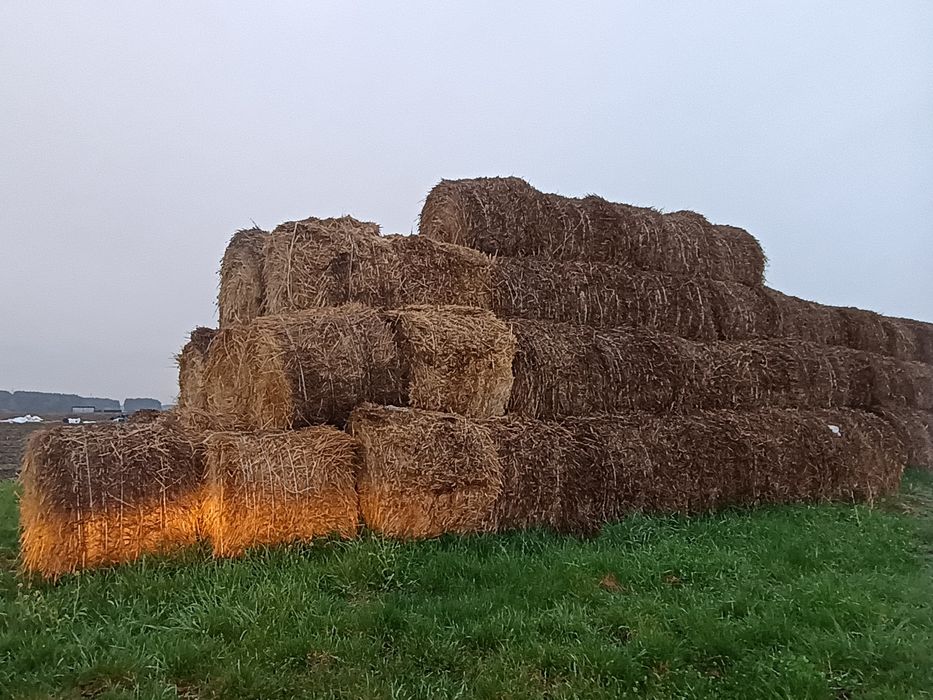 Słoma bele zeszłoroczne 110/90