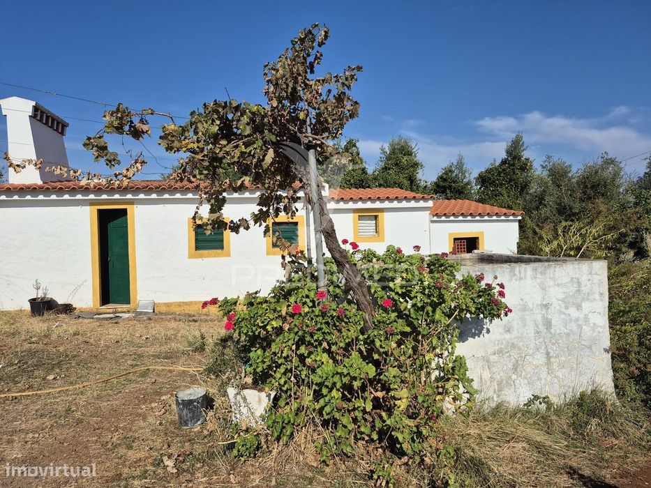 Terreno Rustico