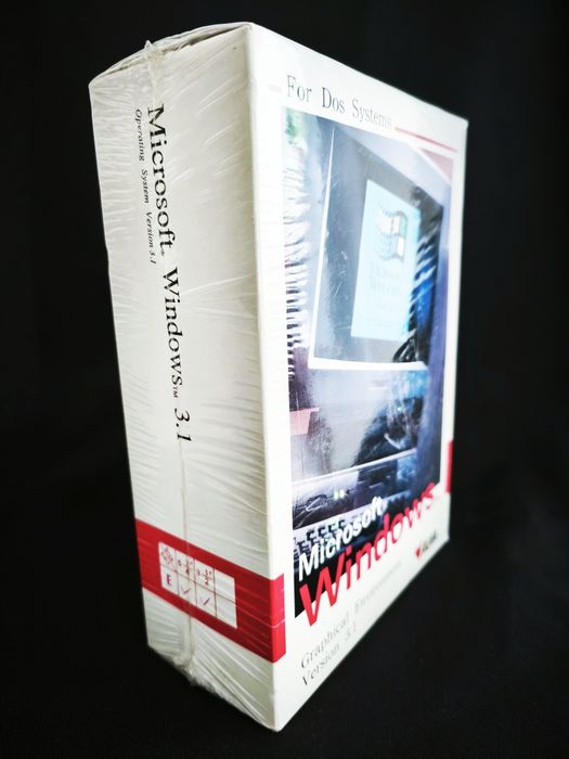 Microsoft Windows 3.1 Graphical Environment AUVA